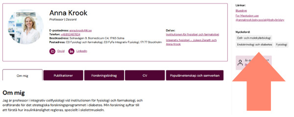 Exempel på var länkar visas på en profilsida