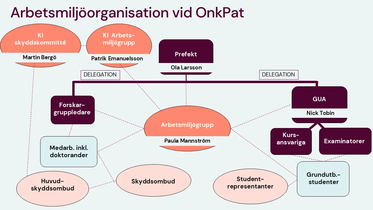 Schematisk illustration över arbetsmiljöorganisationen vid institutionen för onkologi-patologi.