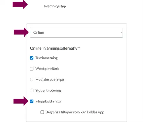 Illustration som visar inlämningalternativ för en uppgift