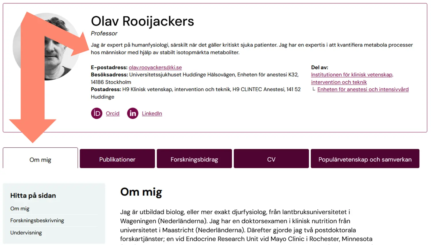 Pil som pekar på Om mig-fliken och Summary-texten på en KI-profilsida