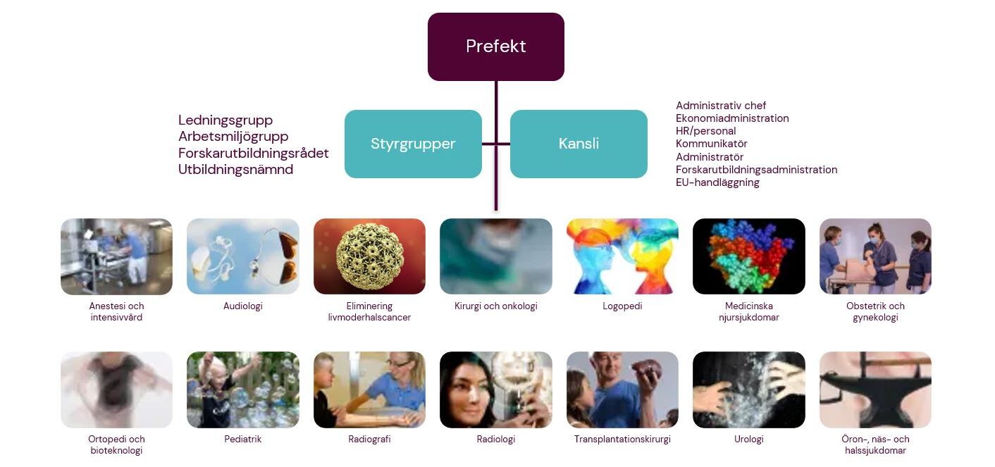 Organisationsbild CLINTEC