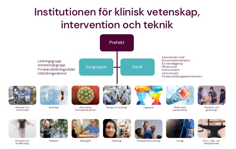 Organisation CLINTEC