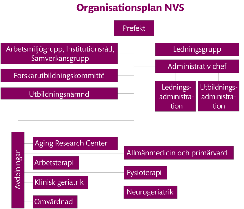 Organisationsplan NVS 2022