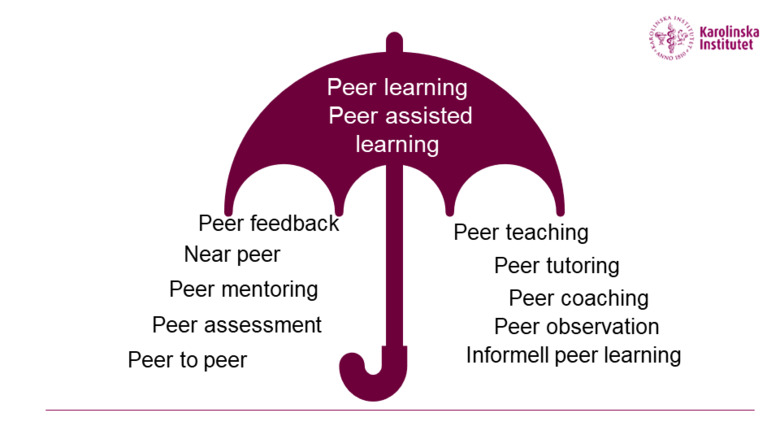 Peer learning och peer assisted learning som paraplybegrepp
