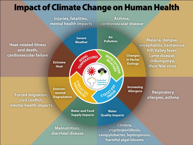 Cirkeldiagram som visar kopplingen mellan klimatförändringar och olika sjukdomstillstånd/diagnoser.