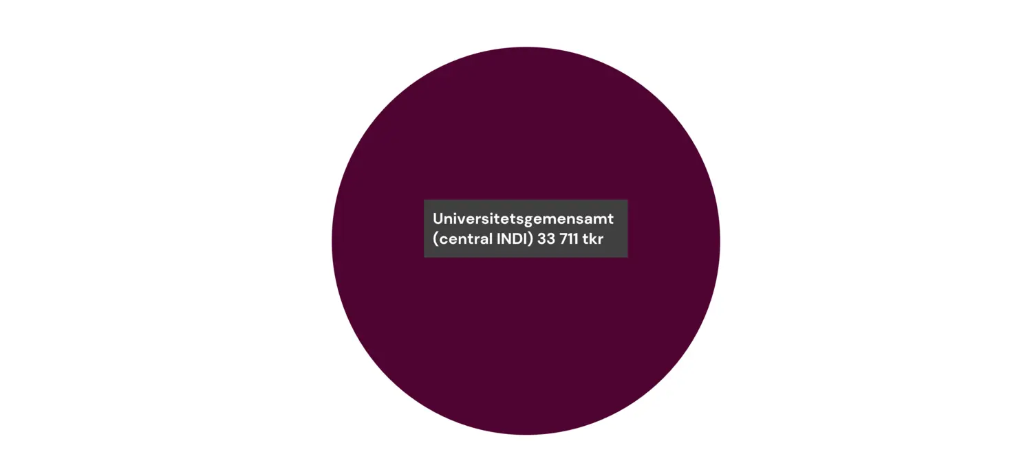 Ett cirkeldiagram visar Juridiska avdelningens budget o finansiering för 2024 som totalt 33 711 tkr. Hela summan är universitetsgemensamt (central INDI).