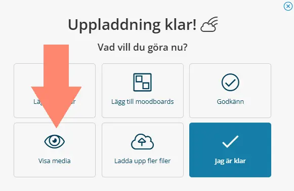 Skärmavbildning från bildhanteringssystemet Qbank