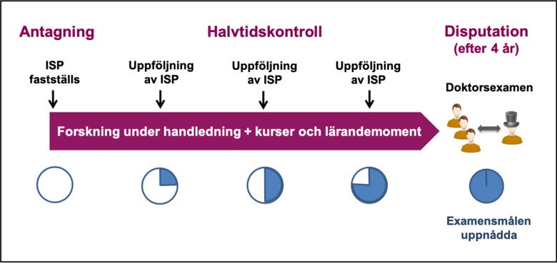 Översikt forskarutbildning