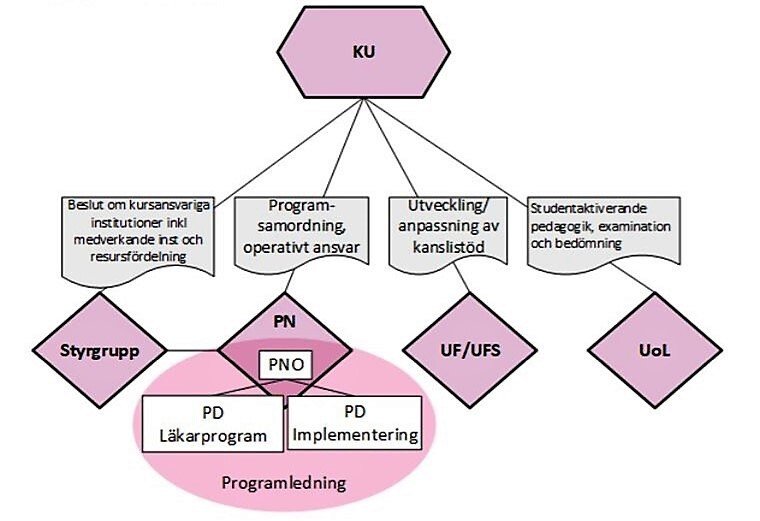 Implementeringsorganisation för sexåriga läkarprogrammet.