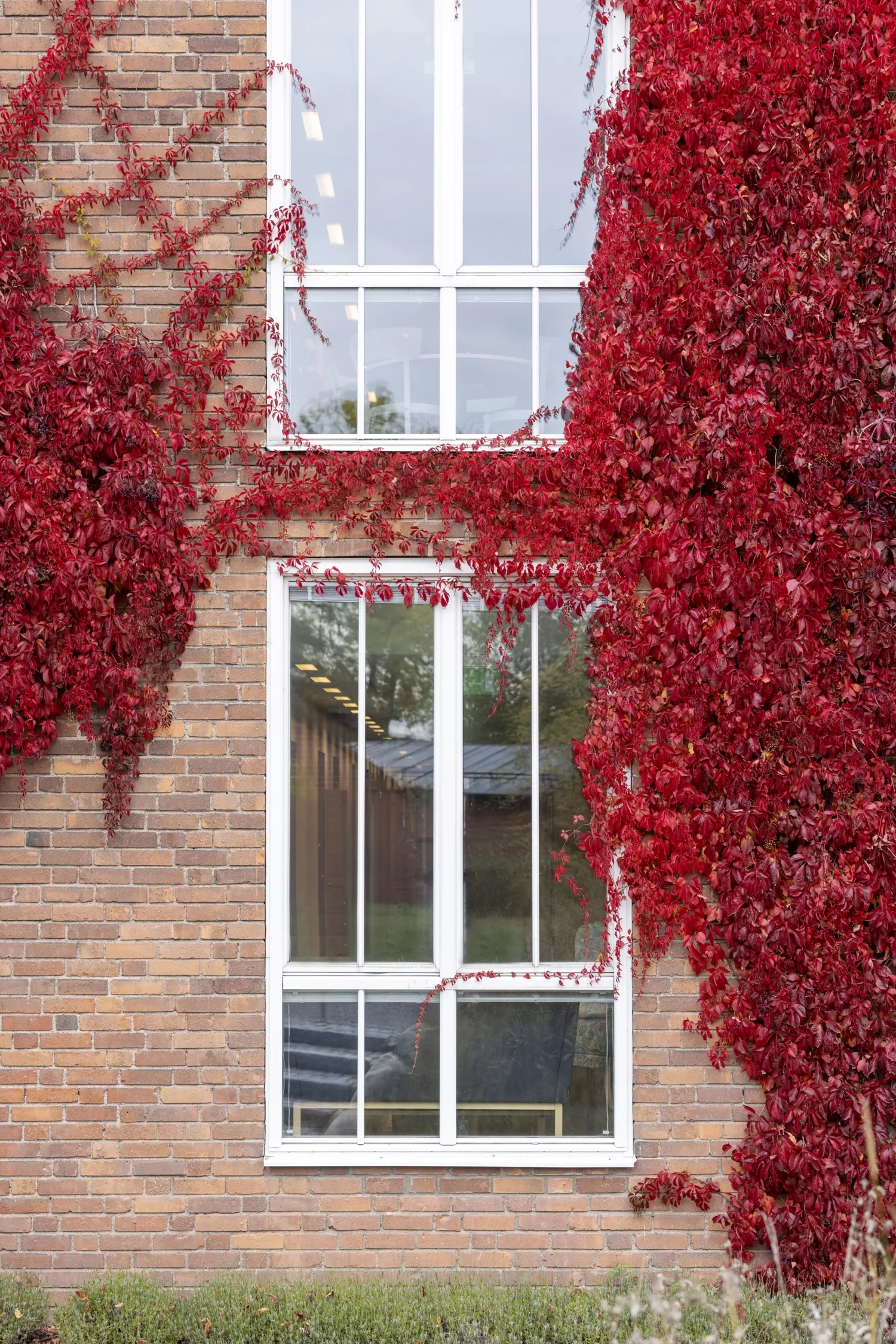 Karolinska Institutet