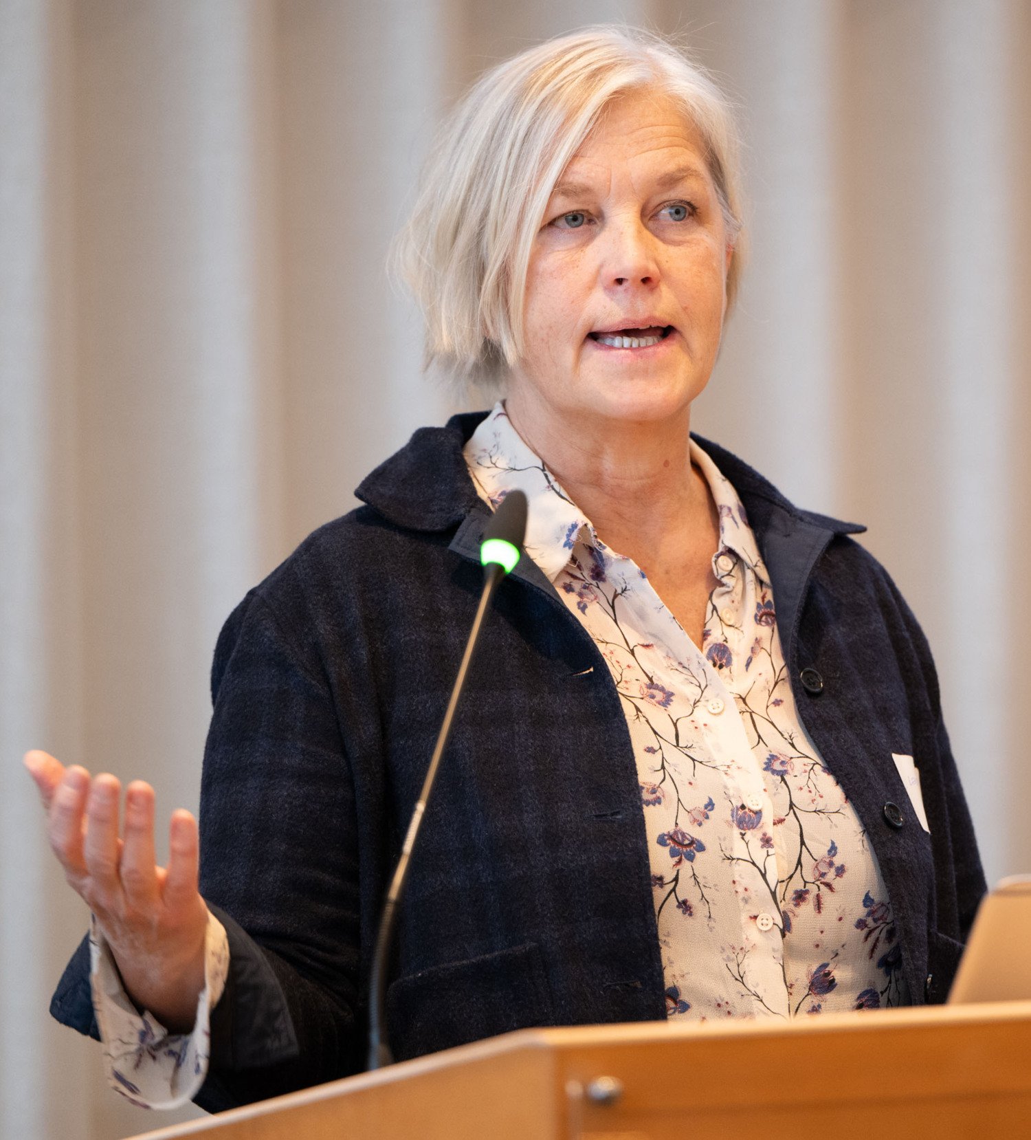 Lena Ström, universitetslektor vid institutionen för cell- och molekylärbiologi, Karolinska Institutet, presenterar studie om transformativt lärande för hållbarhet i yrkesinriktad högre utbildning.