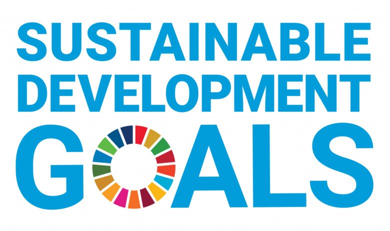 A text in blue that reads: Sustainable development goals.