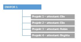 Fyra projekt under samma enhet med tre olika attestanter