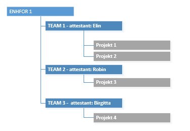 Fyra projekt under samma enhet med tre olika team och attestanter