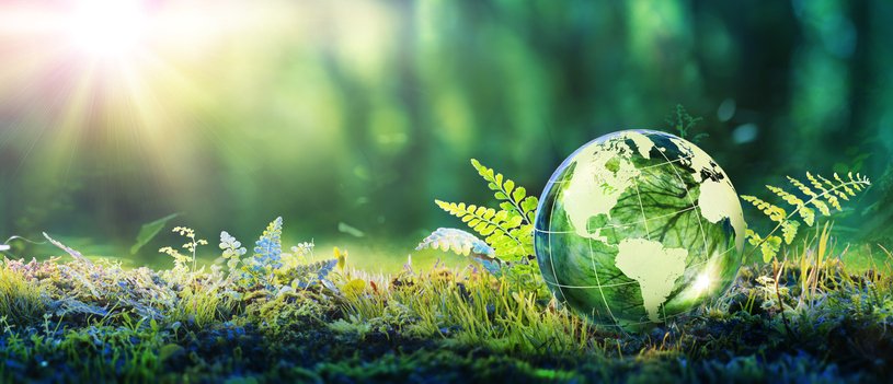 Miljökoncept - Globe Glass i grön skog med solljus - Bildbanksfoto