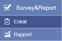 KI Survey promo - Survey Report