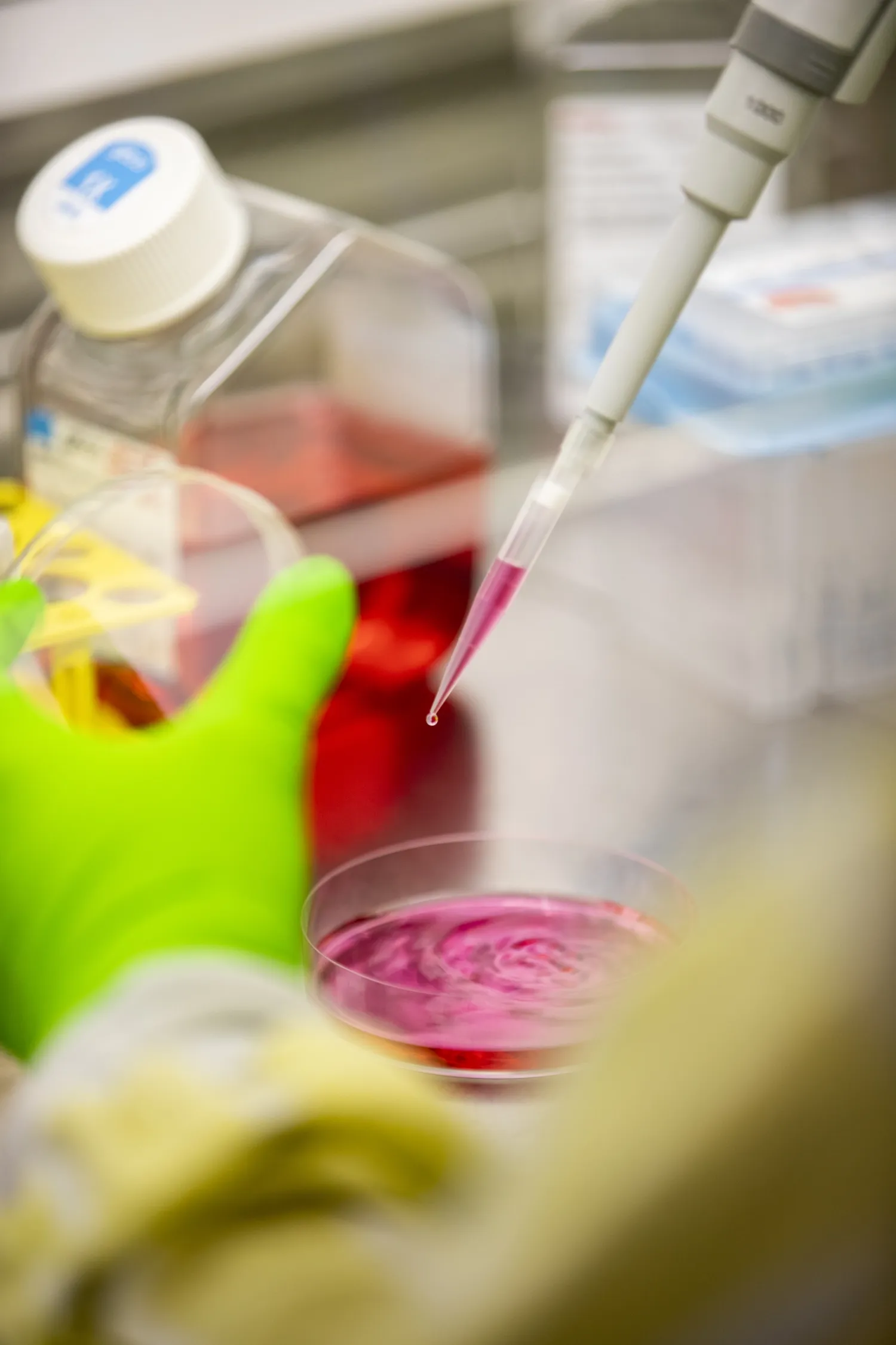 Händer jobbar med pipett och vätska.