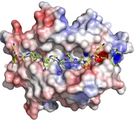 Expression analysis to identify novel biomarkers for reumatoid arthritis.