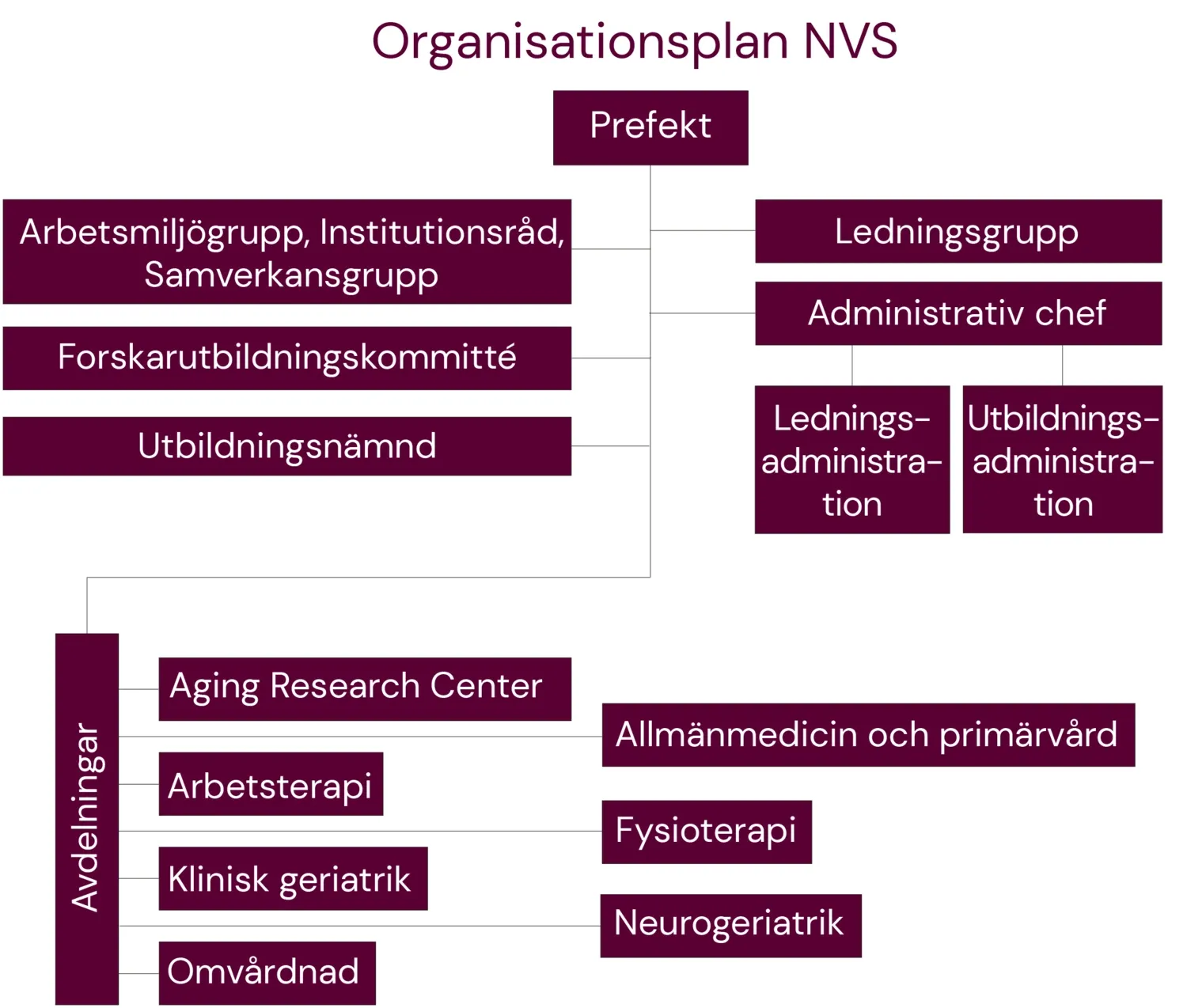 NVS organisationsplan på svenska