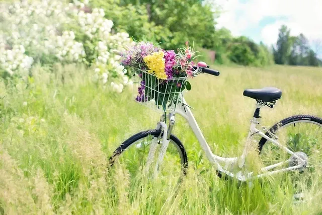 Bilden föreställer en vit cykel med blommor i cykelkorgen, i bakgrunden syns sommaräng