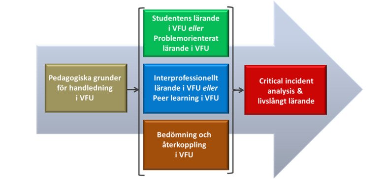 Illustration av upplägget för Stepping stone-kurser.