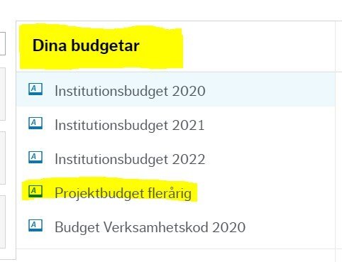 Budget 2021