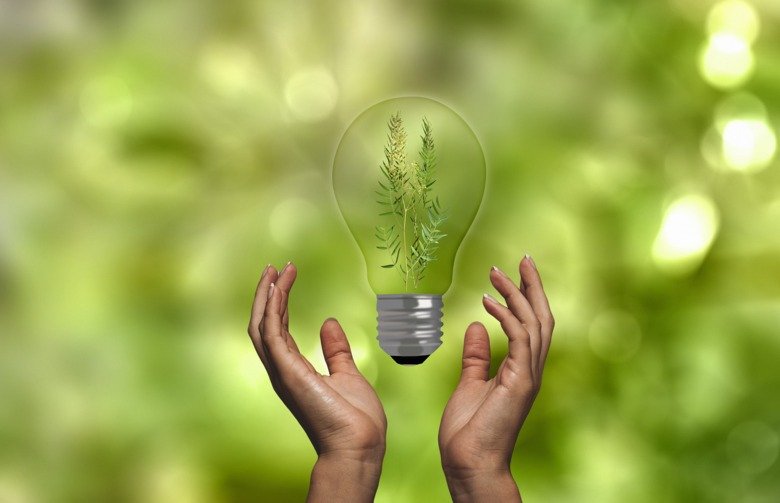 Fotokonst, en glödlampa med en grön kvist i, mellan två händer mot en grön bakgrund.