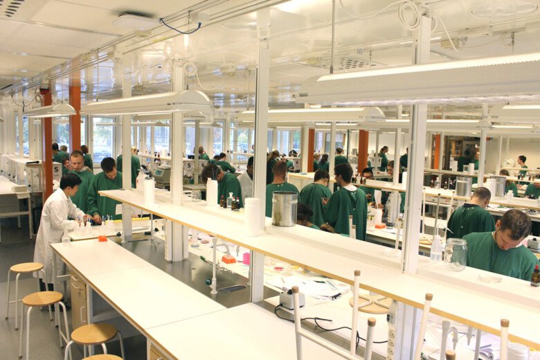 Studenter arbetar i labb