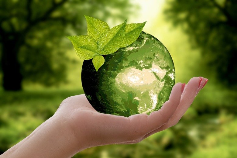Foto av en hand som håller i en grön jordglob av glas med gröna löv, mot grön bakgrund.
