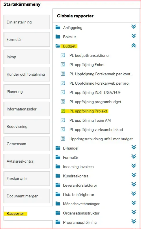 Projektsaldo rapporter