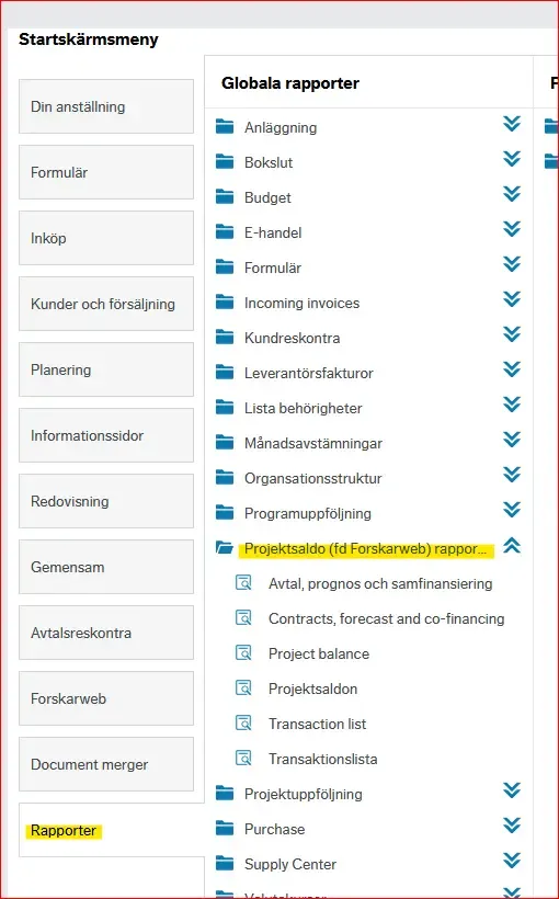 Projektsaldo rapporter