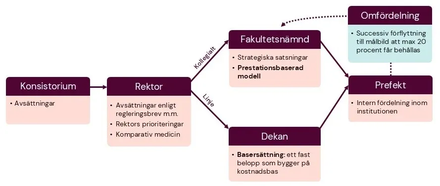 Grafik som visar övergripande flödesschema vid omfördelning av forskningsanslag från 2026: från konsistoriet via rektor och fakultetsnämnd (kollegialt) respektive dekan (linje) fram till prefekt.
