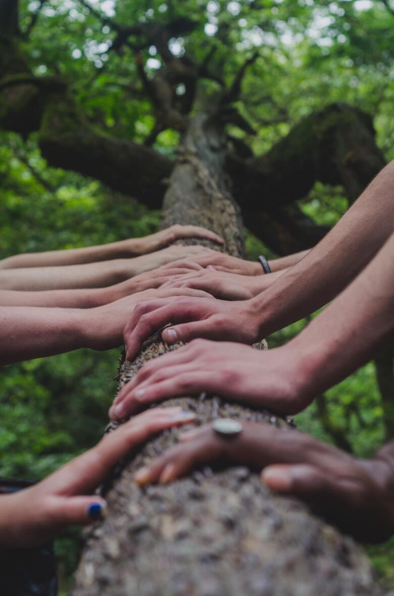 Händer som håller på en stam