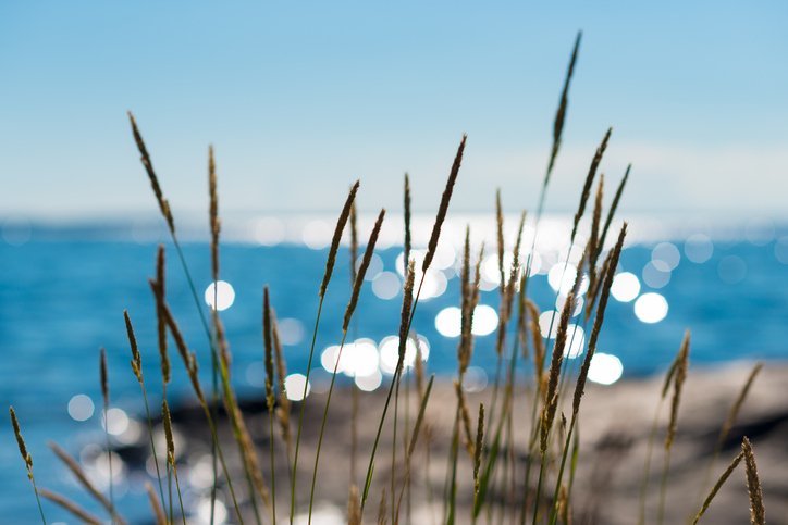 Sommar vid havet
