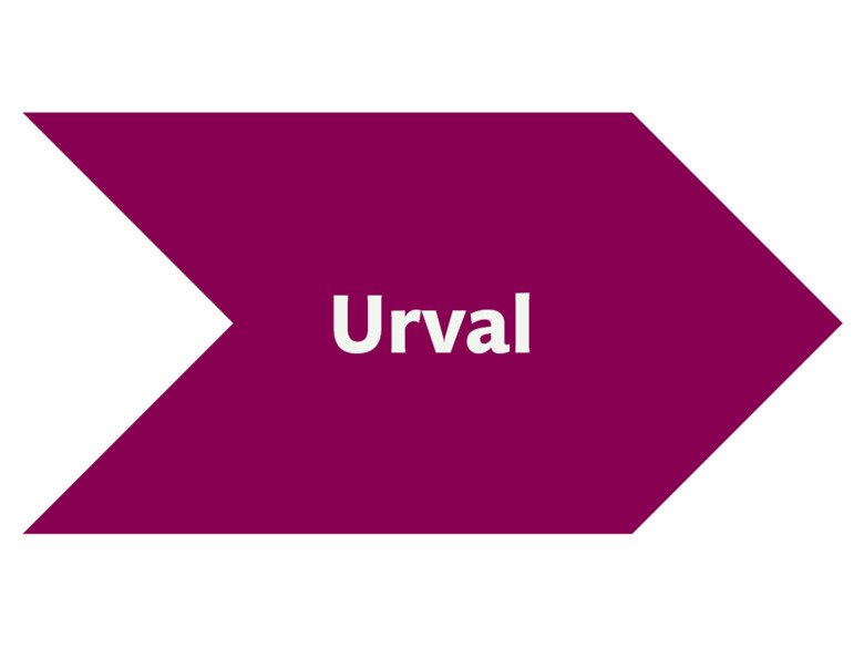 Rekryteringsprocessen: urval