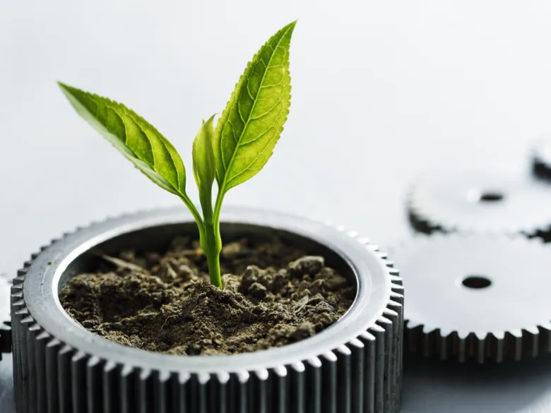 Kugghjul med liten planta på vit bakgrund.