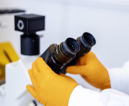 Detaljbild från labb