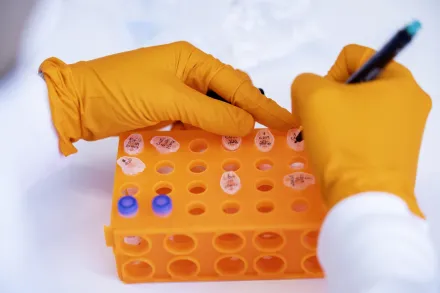 Detaljbild från labb