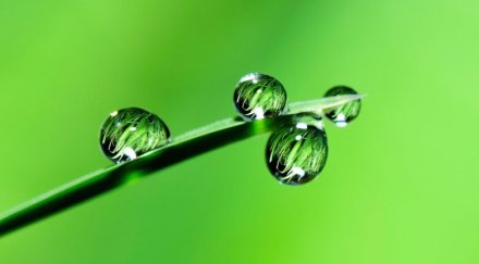 Waterdrops green background